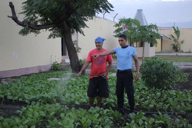 Lahan Rudenim