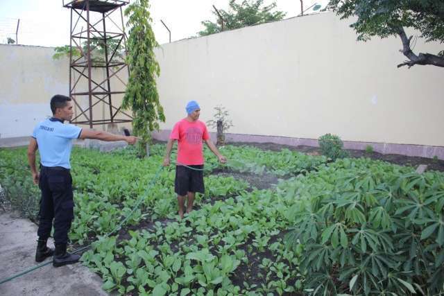 Lahan Rudenim
